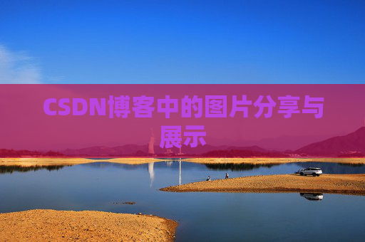 CSDN博客中的图片分享与展示